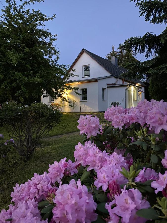 gemütliches Ferienhaus Spremberg Exterior foto